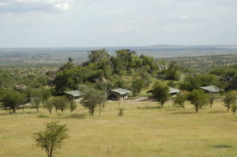 Mbuzi Mawe Serena Camp Serengeti Bagian luar foto